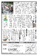Javjav_vol11_b.JPG